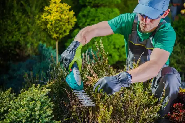 landscaping services Elk Rapids